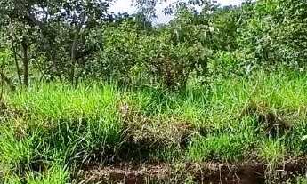 Imagem 4: Oportunidade-LOTE em Alexânia GO