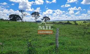 Imagem 14: Fazenda 414 alqueires (2.007 hectares) Caiapônia - Go