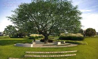 Imagem 7: Terreno à venda, 460 m² por R$ 680.000,00 - Granja Marileusa - Alphaville 2 - Uberlândia/M