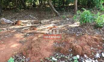 Imagem 7: Fazenda 250 alqueires (1.210 hectares) Trombas - Go