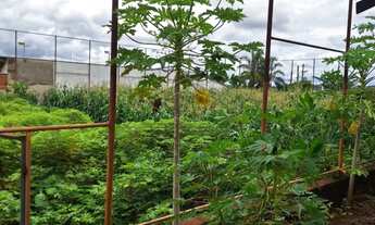 Imagem 7: PARQUE INDUSTRIAL SÃO DOMINGOS - BARRA BONITA / SP