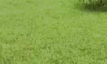 Imagem 7: Terreno no Aldebaran Leste condomínio fechado com ampla área de lazer e um belíssimo lagos