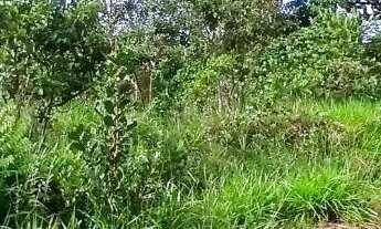 Imagem 5: Oportunidade-LOTE em Alexânia GO