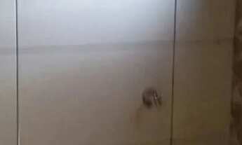 Imagem 6: Casa+ponto comercial em Senador Canedo