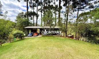 Imagem 6: Chácara com 2 dormitórios à venda, 5000 m² por R$ 1.400.000,00 - Vila David Antônio - Camp