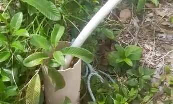 Imagem 7: VENDO CHACARA JANAUARY 2 1000M2 - Iranduba - AM