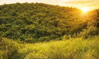 Imagem 5: Poucos terrenos disponíveis em localização privilegiada