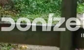 Imagem 5: Terreno à venda, 400 m² por R$ 1.320.000,00 - Vila Gilda - Santo André/SP