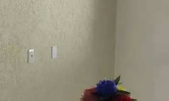 Imagem 6: Ótima Casa com 2 Quartos sendo 1 Suíte - Residencial Buena Vista III