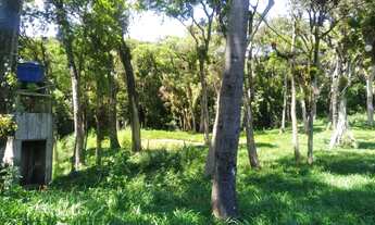 Imagem 7: Chácara em São José dos Pinhais na Malhada, Troca, Vende