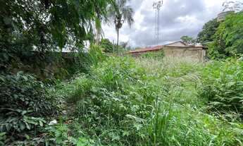 Imagem 3: Vendo lote em área comercial