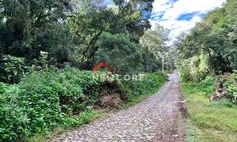 Imagem 6: Lote em Rua 3 do Alpes - Alpes - São Francisco de Paula/RS