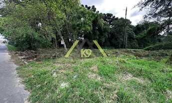 Imagem: Terreno medindo 1250m² à venda no bairro