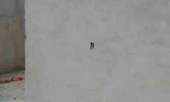 Imagem 6: Vendo ágio de lote com construção 45.000