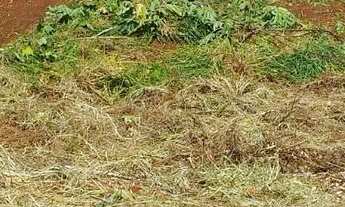 Imagem: Vendo Lote 258m², totalmente plano e ótima