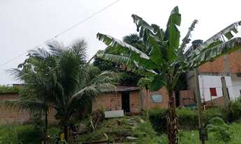 Imagem: Terreno com a casa de ovenaria