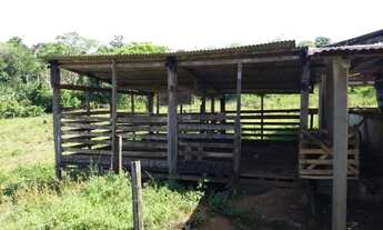Imagem 3: Fazenda Fazenda / sítio com venda por R$300.000