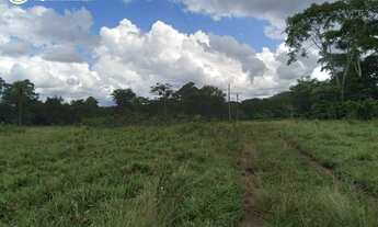 Imagem 3: FAZENDA EM CONCEIÇÃO DO TOCANTINS - TO - 968 HECTARES (DUPLA APTIDÃO