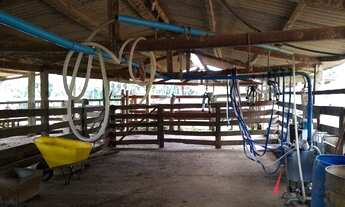 Imagem 6: Fazenda com 4 dormitórios à venda, 726000 m² por R$ 4.500.000,00 - Buriti Grande - Luziâni