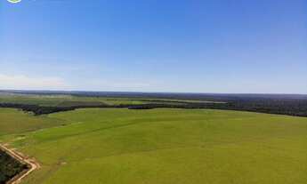 Imagem 5: FAZENDA Á VENDA NA REGIÃO DE ARAGUAÍNA- TO -17.352 HECTARES (DUPLA APTIDÃO