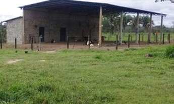 Imagem 3: FAZENDA À VENDA EM RECURSOLÂNDIA - TO - DE 700 ALQUEIRÕES (DUPLA APTIDÃO