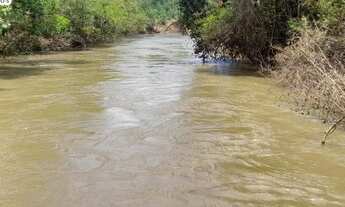 Imagem 3: FAZENDA À VENDA EDM TUPIRATINS - TO -2.662 HECTARES (DUPLA APTIDÃO