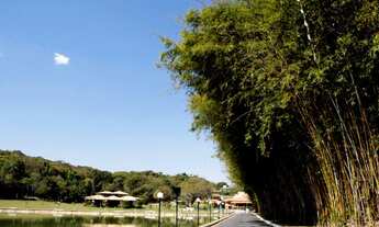 Imagem 3: Lote plano com mais de 1.500m2 e frente ampla