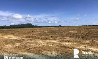 Imagem 3: Fazenda em Taipas do Tocantins TO