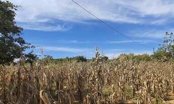 Imagem 3: Chácara á Venda 10.000m² ESCRITURADA