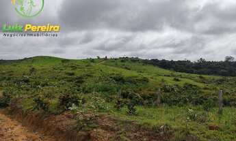Imagem 5: FAZENDA À VENDA EM JACUNDA - PA - 1.258,4 HECTARES (DUPLA APTIDÃO