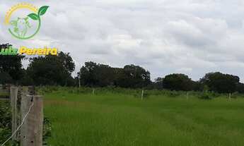 Imagem 7: FAZENDA À VENDA EM MARIANÓPOLIS - TO- DE 484 HECTARES (DUPLA APTIDÃO