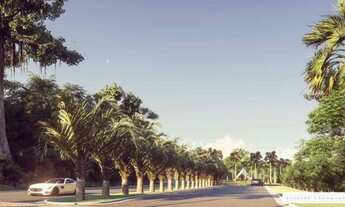 Imagem 3: Vendo lotes no Jardins França