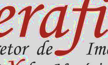 Imagem 4: 16 alq. com aprox. 14 alq. mec. por 3.200 sacas o alq