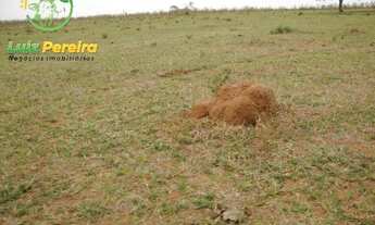 Imagem 6: FAZENDA Á VENDA EM BANDEIRANTES - MS - 1.020 HECTARES (DUPLA APTIDÃO