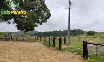 Imagem 6: FAZENDA À VENDA EM JACUNDA - PA - 1.258,4 HECTARES (DUPLA APTIDÃO