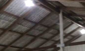 Imagem 3: Vendo ou alugo, Lindo sítio c/ olho 'água em São Caetano de Odivelas de 5 hectares