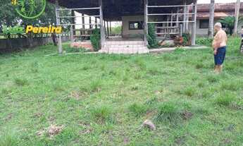 Imagem 3: FAZENDA À VENDA EM GOIANÉSIA - PA - 3.920 HECTARES - (LAVOURA DE SOJA