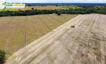 Imagem 2: FAZENDA À VENDA EM DOIS IRMÃOS - TO - 427 HECTARES (DUPLA APTIDÃO