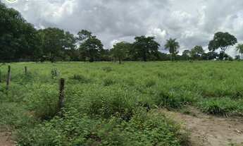 Imagem 7: FAZENDA EM CONCEIÇÃO DO TOCANTINS - TO - 968 HECTARES (DUPLA APTIDÃO
