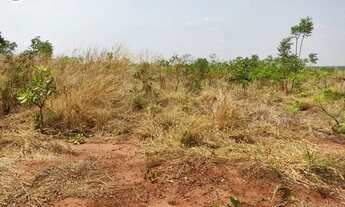 Imagem 6: FAZENDA Á VENDA EM BALSAS - MA - 410 HECTARES (DUPLA APTIDÃO