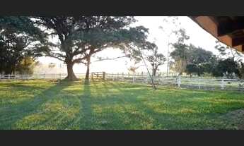 Imagem 3: 35 Hectares em Montenegro!