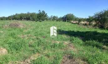 Imagem 2: Terreno à venda em Diácono joão luiz pozzobon, Santa maria cod:83718