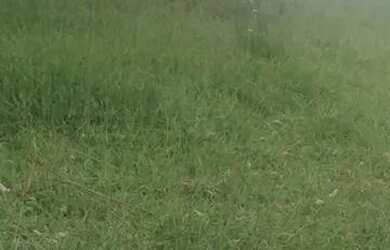 Imagem 5: Dessa vez você compra seu lote ,600 m² em Nazaré paulista