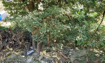 Imagem 6: Lote 360 metros em lagoa Santa