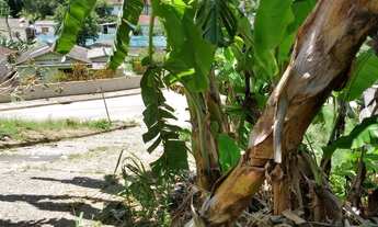 Imagem 6: Casa em Pedro de Toledo,70 mil reais, aceito proposta