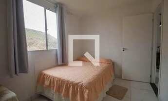 Imagem 6: Apartamento para Aluguel - Pechincha, 2 Quartos, 44 m2