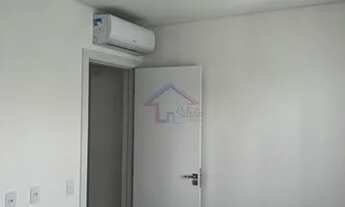 Imagem 3: PALHOçA - Padrão - Pagani