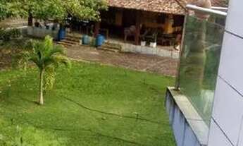 Imagem 6: Chacara perfeita