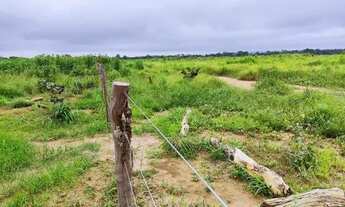 Imagem 5: Fazenda 29.000 hectares a venda no Maranhão