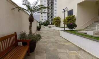 Imagem 2: Apartamento Residencial à venda, Vila Indiana, São Paulo - AP0394